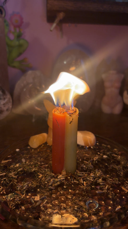 Cleansing Spell 🐠🫧